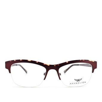 AVANGLION ΣΚΕΛΕΤΟΣ ΟΡΑΣΕΩΣ...